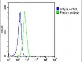 Anti-SCAP Antibody