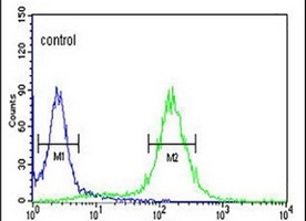 Anti-MPST Antibody