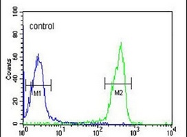 Osteomodulin Rabbit Polyclonal Antibody