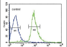 Anti-EHD3 Antibody