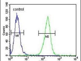 Anti-MOB1A Antibody