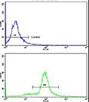 Anti-SRP72 Antibody