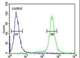 Anti-ESPN Antibody