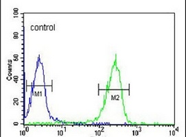 FKBP11 Rabbit Polyclonal Antibody