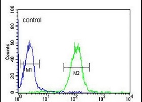 Apolipoprotein L4 Rabbit Polyclonal Antibody