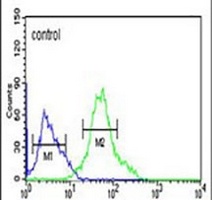 Anti-GBAS Antibody