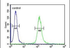 LOH12CR1 Rabbit Polyclonal Antibody