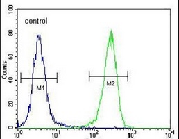 Aquaporin 11 Rabbit Polyclonal Antibody