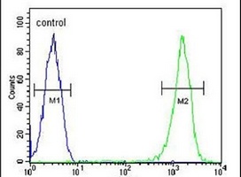 Anti-RCN3 Antibody