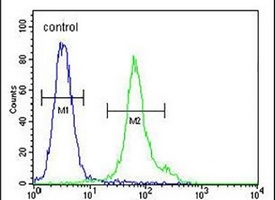 Anti-EMC3 Antibody