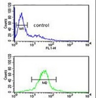 Anti-RSPO4 Antibody