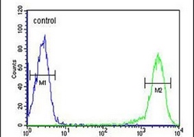 Anti-Calcitonin Receptor Antibody