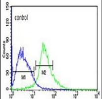 Anti-TRIM50 Antibody