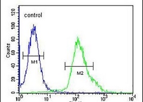 Anti-FGFBP3 Antibody