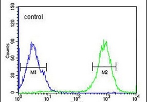 Anti-SPATA13 Antibody