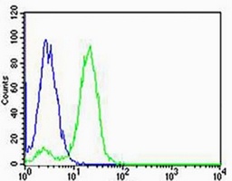 NDUFB4 Antibody
