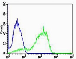 AGAP8 Antibody