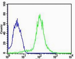 Anti-FBXL17 Antibody