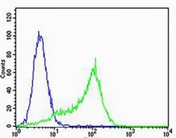 Anti-MPP7 Antibody