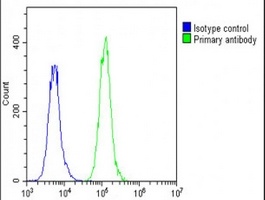 Anti-PRSS57 Antibody