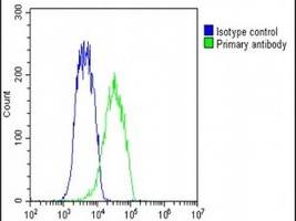 GDE1 Rabbit Polyclonal Antibody
