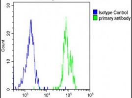 Anti-SPNS2 Antibody