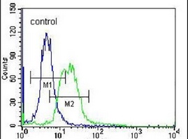 Anti-MPP3 Antibody