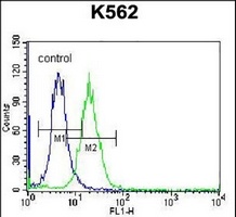 Anti-HIST1H2AB Antibody