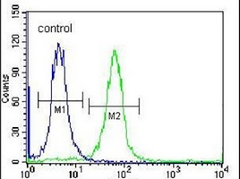 Anti-SP6 Antibody