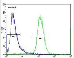 SCHIP1 Antibody