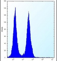 FAM8A1 Rabbit Polyclonal Antibody