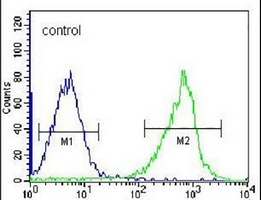 Anti-GSTM5 Antibody