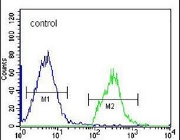 Anti-HIST1H2BL Antibody