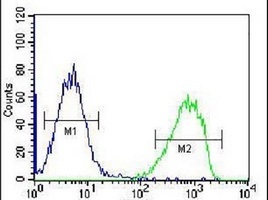 Anti-SPINK8 Antibody