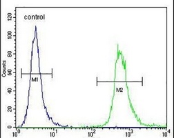 Anti-WDR3 Antibody