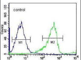 Anti-PCDHB14 Antibody