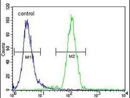 CD15 Antibody