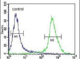 Anti-MOGAT3 Antibody