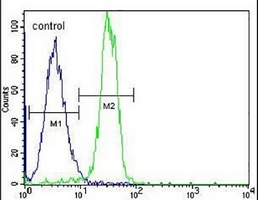 Anti-STARD6 Antibody