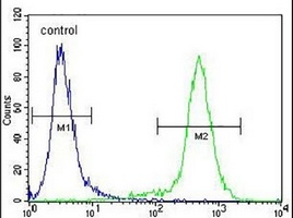 Anti-LCN9 Antibody