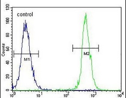 Anti-NUDT19 Antibody