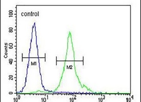 Anti-CCDC81 Antibody