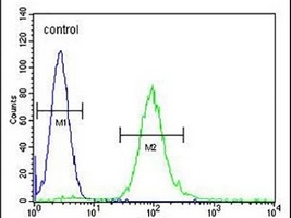 METTL10 Antibody