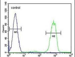 Anti-ANKRD40 Antibody