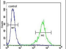 FAM218A Rabbit Polyclonal Antibody