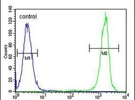 Anti-NUDT22 Antibody