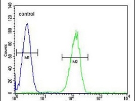 Anti-GPR142 Antibody