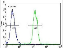 Anti-TMEM151B Antibody