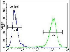 Anti-MIER2 Antibody