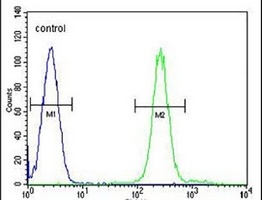 Anti-TGM6 Antibody